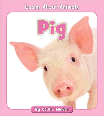 Pig - Minden, Cecilia