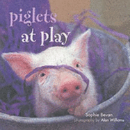 Piglets @ Play