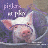 Piglets @ Play - Bevan, Sophie