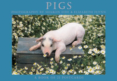 Pigs Postcard Book