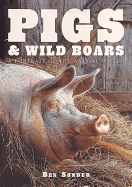 Pigs & Wild Boars: A Portrait of the Animal World
