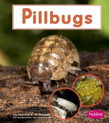 Pillbugs - Rustad, Martha E H