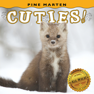 Pine Marten Cuties! - Farcountry Press