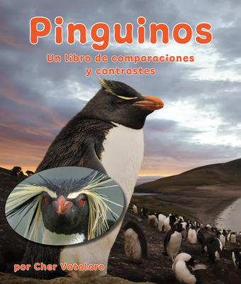 Ping?inos: Un Libro de Comparaciones Y Contrastes: Penguins: A Compare and Contrast Book in Spanish - Vatalaro, Cher, and de la Torre, Alejandra (Translated by)