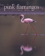 Pink Flamingos: Interviews with Jean-Louis Missika and Dominique Wolton = Le Spectateur Engage