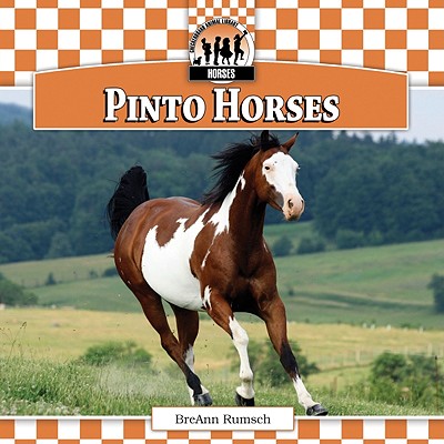 Pinto Horses - Rumsch, Breann