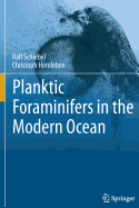 Planktic Foraminifers in the Modern Ocean