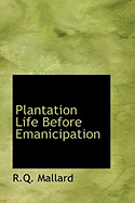 Plantation Life Before Emanicipation