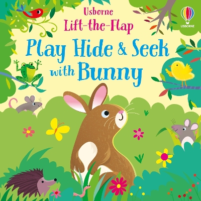 Play Hide and Seek with Bunny - Taplin, Sam