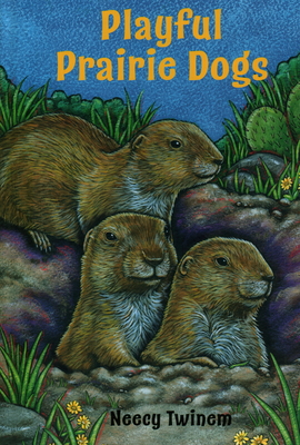 Playful Prairie Dogs - 