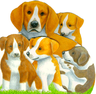 Playful Puppies - Emma Books Ltd