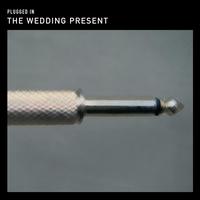 Plugged In: An Evening at Shepherds Bush - The Wedding Present