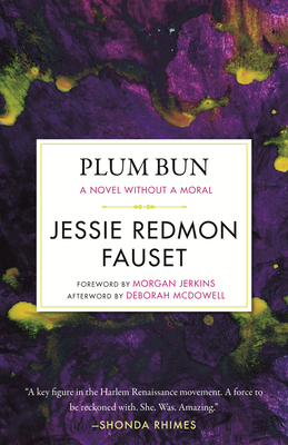 Plum Bun: A Novel Without a Moral - Fauset, Jessi Redmon, and McDowell, Deborah (Afterword by), and Jerkins, Morgan (Foreword by)