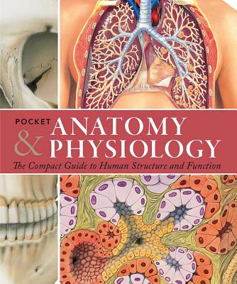 Pocket Anatomy & Physiology: The Compact Guide to the Human Body and How It Works - Ashwell, Ken