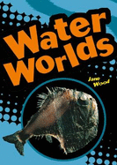 Pocket Facts Year 4 Water Worlds