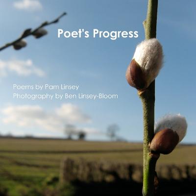 Poet's Progress - Linsey-Bloom, Ben, and Linsey, Pamella