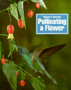 Pollinating a Flower - Bennett, Paul