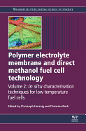 Polymer Electrolyte Membrane and Direct Methanol Fuel Cell Technology: Volume 2: In Situ Characterization Techniques for Low Temperature Fuel Cells
