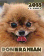 Pomeranian 2018 Calendar