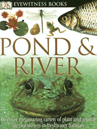 Pond & River