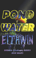 Pond Water Eithwin