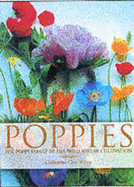 POPPIES - 