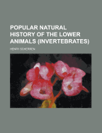 Popular Natural History of the Lower Animals (Invertebrates)