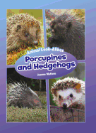 Porcupines and Hedgehogs: Animal Look-Alikes