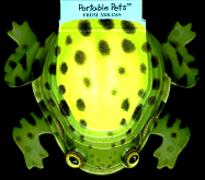 Portable Pets: Frog