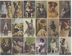 Postcard Dogs