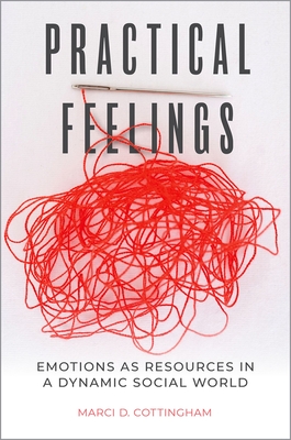 Practical Feelings: Emotions as Resources in a Dynamic Social World - Cottingham, Marci D