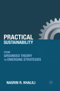 Practical Sustainability: From Grounded Theory to Emerging Strategies