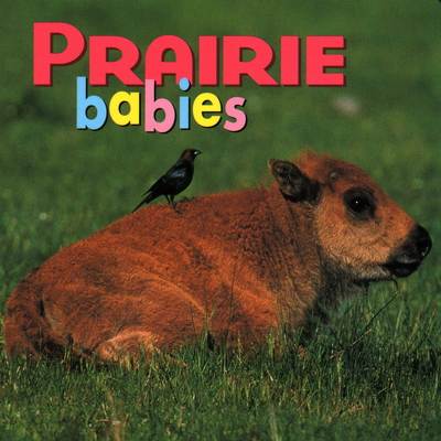 Prairie Babies - McCurry, Kristen