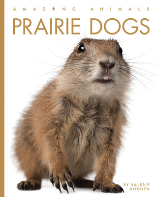 Prairie Dogs - Bodden, Valerie