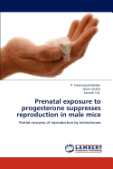 Prenatal Exposure to Progesterone Suppresses Reproduction in Male Mice