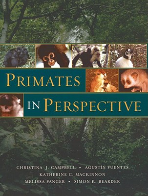 Primates in Perspective - Campbell, Christina J (Editor), and Fuentes, Agustin (Editor), and MacKinnon, Katherine C (Editor)