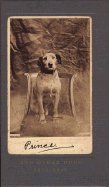 Prince, and Other Dogs 1850-1940