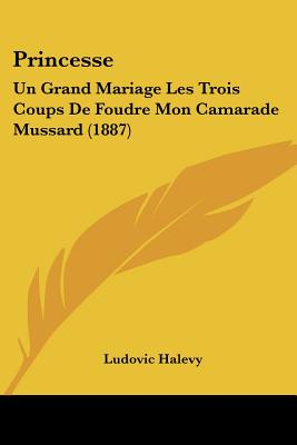 Princesse: Un Grand Mariage Les Trois Coups De Foudre Mon Camarade Mussard (1887) - Halevy, Ludovic