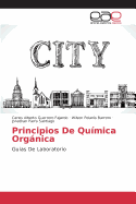 Principios de Quimica Organica