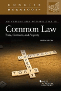 Principles and Possibilities in Common Law: Torts, Contracts, and Property