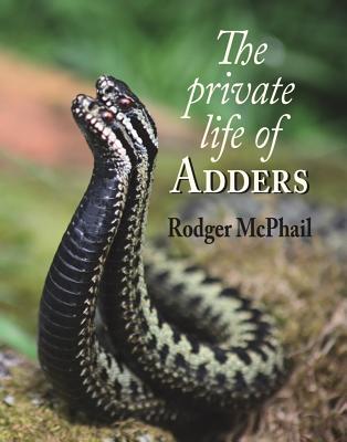 Private Life of Adders - McPhail, Rodger