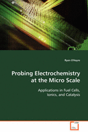 Probing Electrochemistry at the Micro Scale