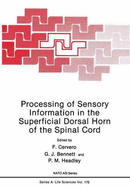 Processing of Sensory Information in the Superficial Dorsal Horn