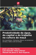 Produtividade da gua, do capital e do trabalho na cultura da ma