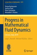 Progress in Mathematical Fluid Dynamics: Cetraro, Italy 2019