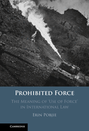 Prohibited Force: The Meaning of 'Use of Force' in International Law