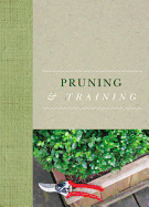 Pruning and Training