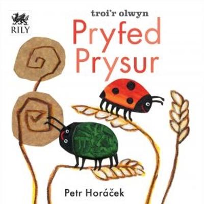 Pryfed Prysur - Horacek, Petr, and Roberts, Mared (Translated by)