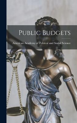 Public Budgets - American Academy of Political and Soc (Creator)