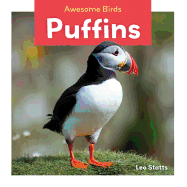 Puffins